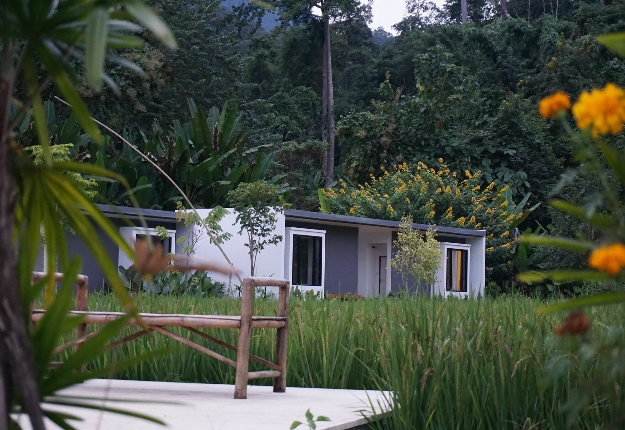 Villa De View Chiang Dao Exteriör bild