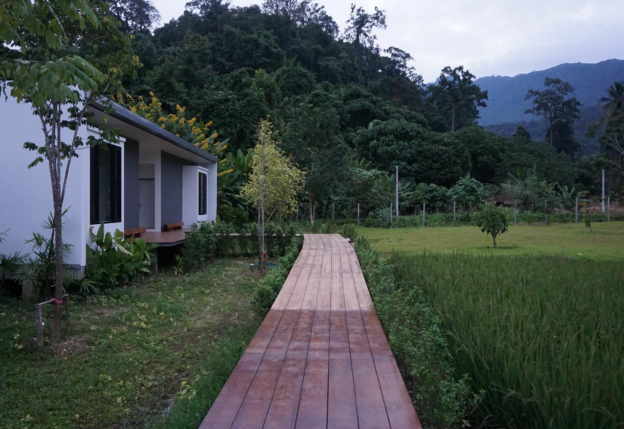 Villa De View Chiang Dao Exteriör bild